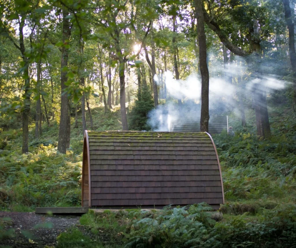 A glamping pod tucked among the trees on a misty morning